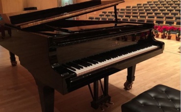 "Vous jouez parce que vous ne pouvez pas faire autrement", P.Geithner dans le film. Photo (c) kailingpiano "Vous jouez parce que vous ne pouvez pas faire autrement", P.Geithner dans le film. Photo (c) kailingpiano