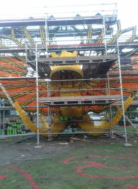 Fruitage de citrons et oranges sur le phénix (c) Pascale Luissint Fruitage de citrons et oranges sur le phénix (c) Pascale Luissint