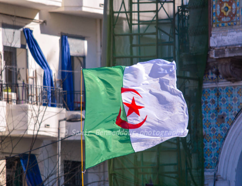 Une Algérie affichant fièrement son drapeau (C) Samir Benmeddour