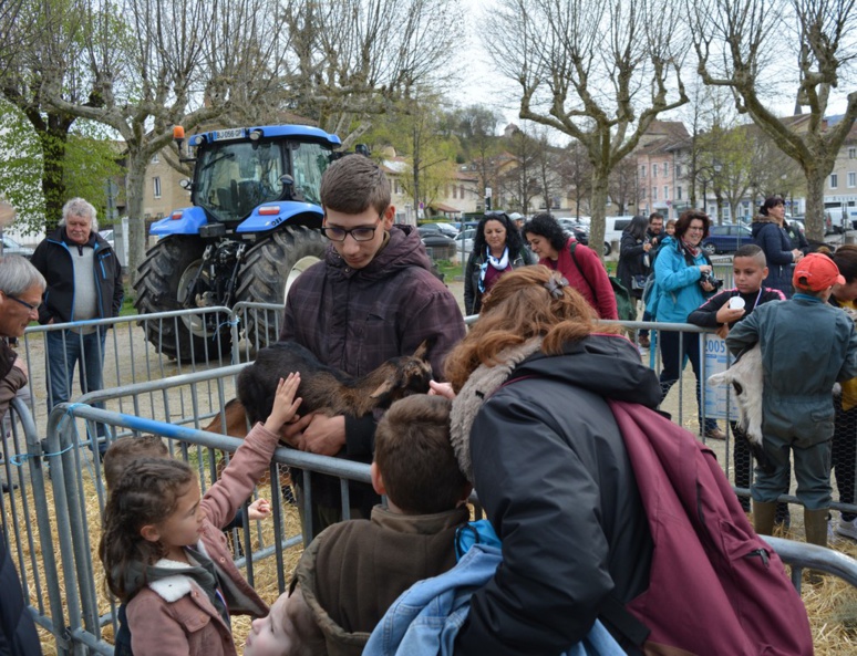 À la découverte des animaux de la ferme (c) Frédérique Gelas À la découverte des animaux de la ferme (c) Frédérique Gelas