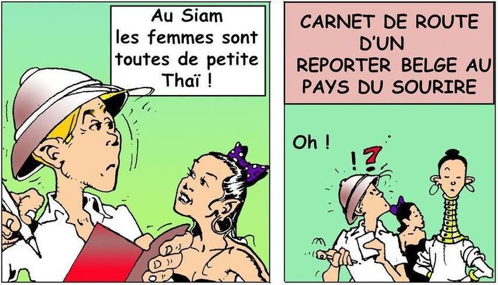 DESSIN DE PRESSE: Reportage siamois