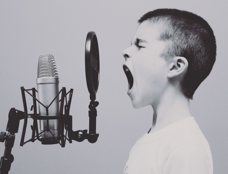 La parole décomplexée et manipulée sur les réseaux sociaux / (c) Pixabay La parole décomplexée et manipulée sur les réseaux sociaux / (c) Pixabay