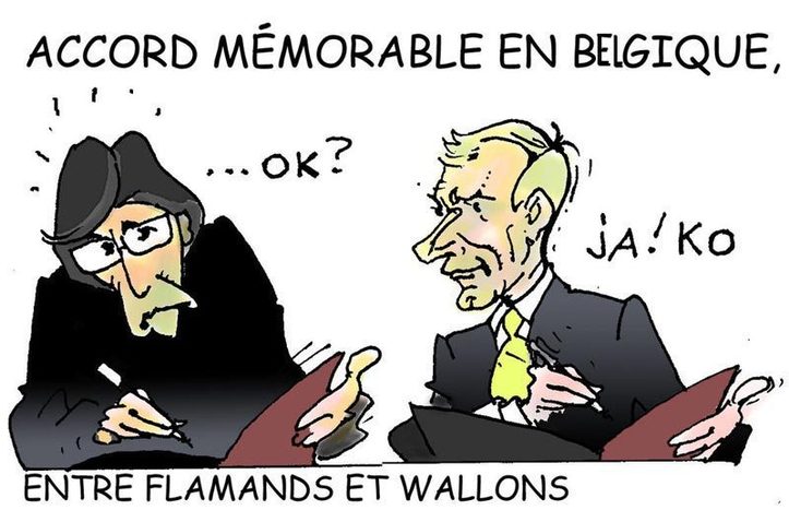 DESSIN DE PRESSE: La Belgique KO c'est fini