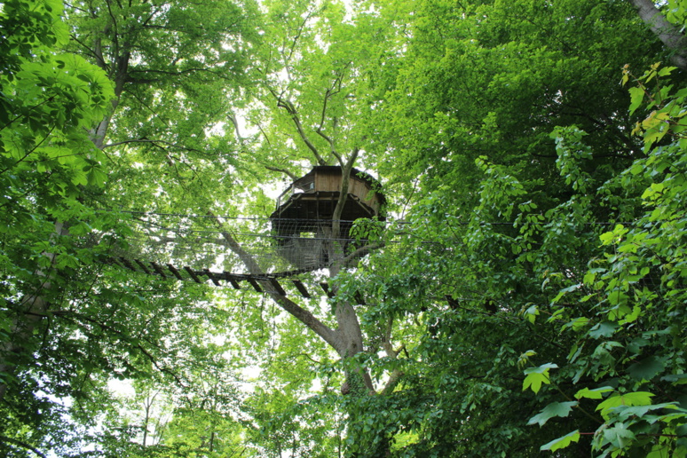 Cabane "Nid d'aigle" nichée à 22 mètres du sol. © J. P.