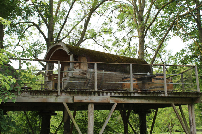 "Le tonneau" à 4 mètres. © J. P. "Le tonneau" à 4 mètres. © J. P.