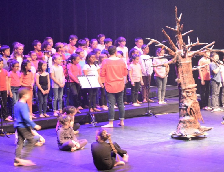 120 élèves des écoles saint-marcellinoises sur la scène du Diapason (c) Frédérique Gelas 120 élèves des écoles saint-marcellinoises sur la scène du Diapason (c) Frédérique Gelas