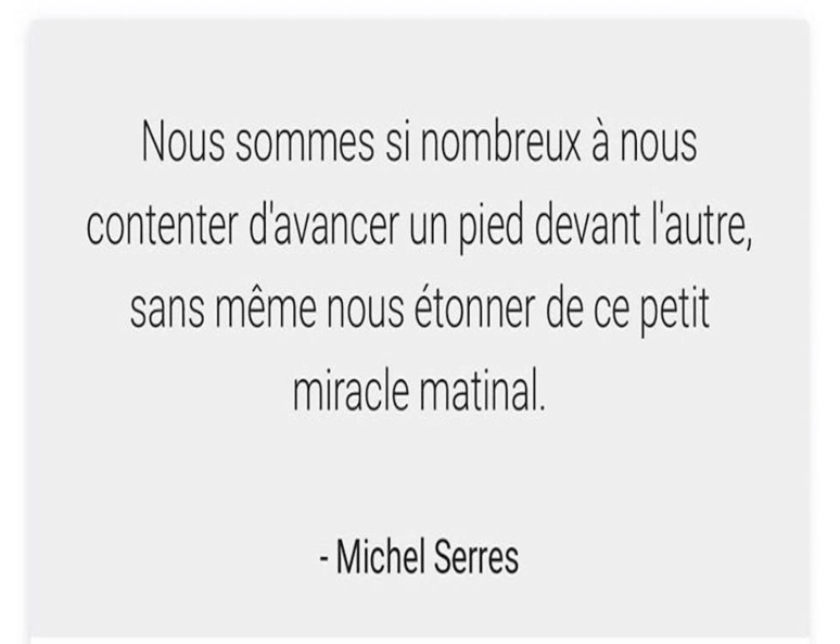 " L’homme est un pou pour l’homme. " disait le philosophe (C) capture d'écran par Nour Mezouane " L’homme est un pou pour l’homme. " disait le philosophe (C) capture d'écran par Nour Mezouane