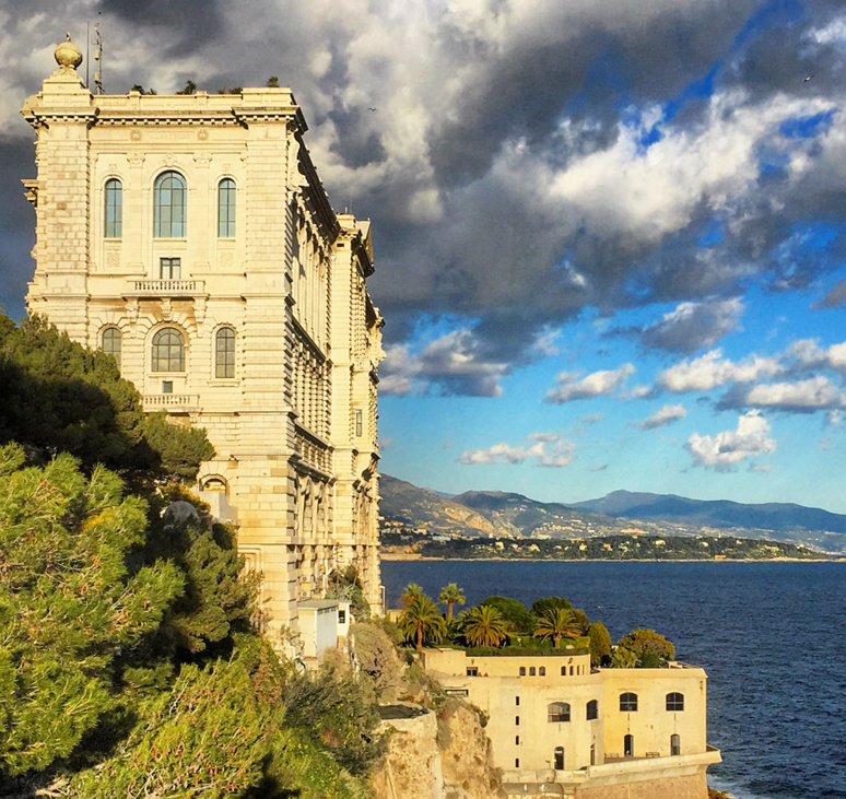 Vue du Musée Océanographique de Monaco, le bassin des tortues marines se situant derrières les frondaisons à gauche. Photo (c) Charlotte Longépé. Vue du Musée Océanographique de Monaco, le bassin des tortues marines se situant derrières les frondaisons à gauche. Photo (c) Charlotte Longépé.
