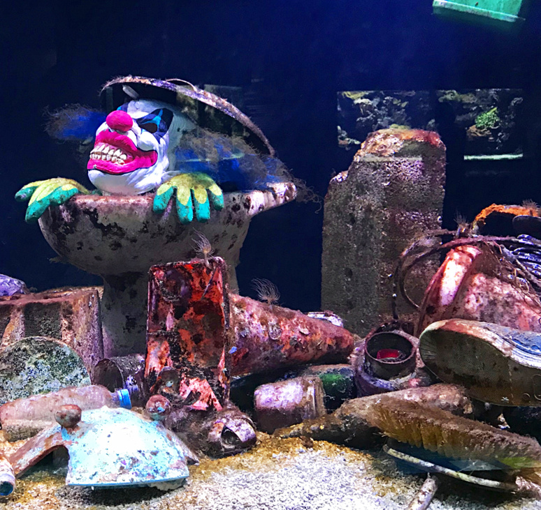 Protégeons les océans! bassin de sensibilisation aux polutions humaines des fonds marins. Photo (c) Charlotte Longépé. Protégeons les océans! bassin de sensibilisation aux polutions humaines des fonds marins. Photo (c) Charlotte Longépé.