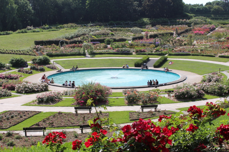 La roseraie © J. P. La roseraie © J. P.