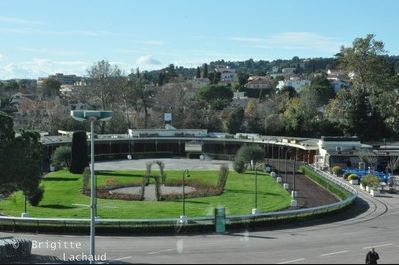 Meeting d'hiver 2011-2012 à l'Hippodrome Côte d'Azur