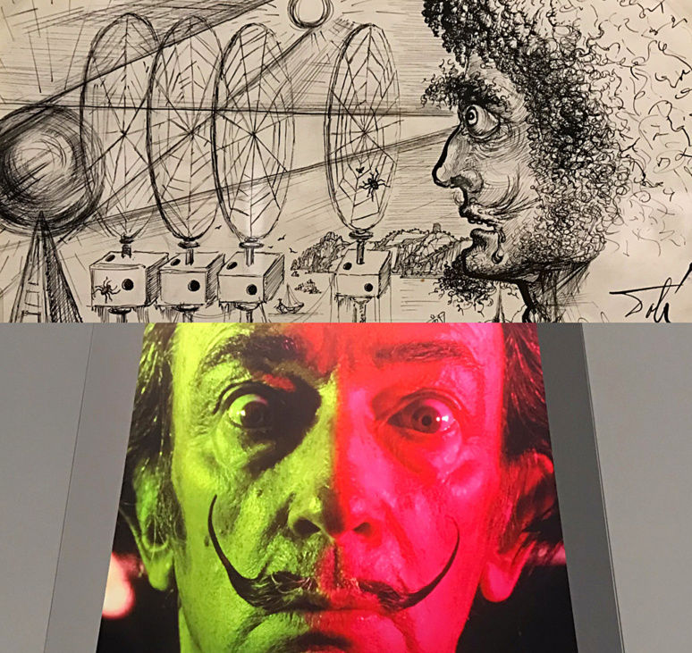 Utilisation rétrospective de l'aronarium pour le livre 50 secrets magiques en 1948; photographie de Dali par Warhol. Photos montage (c) Charlotte Longépé.