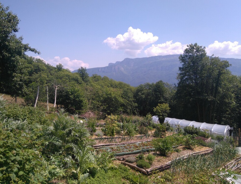 Quand la Street Culture s'exporte à la campagne Quand la Street Culture s'exporte à la campagne