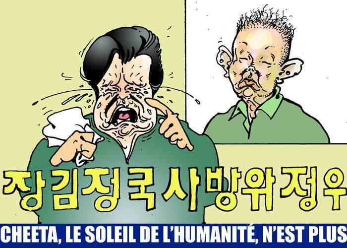 DESSIN DE PRESSE: Le cri de douleur des Coréens