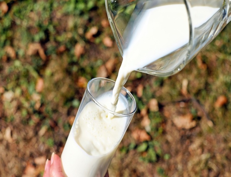 Le lait contient en moyenne 5 fois plus de pesticides que les végétaux (C) Ilona