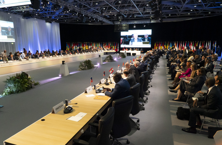 Photo crédit: Antoine Jamonneau. Photo crédit: Antoine Jamonneau.