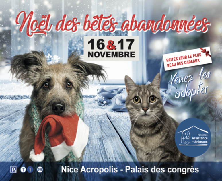 La Fondation Assistances aux Animaux organise pour la seconde fois à Nice le Noël des bêtes abandonnées (c) Fondation Assistance aux Animaux
