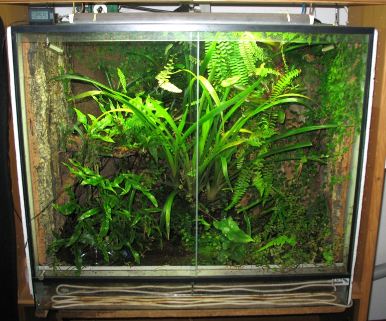 Un terrarium pour lézard © Wikipedia Un terrarium pour lézard © Wikipedia