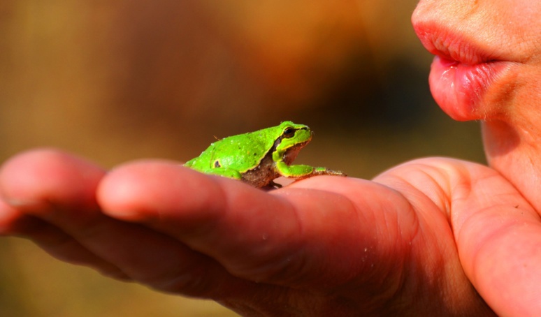 Une petite grenouille et sa maîtresse © Pexels