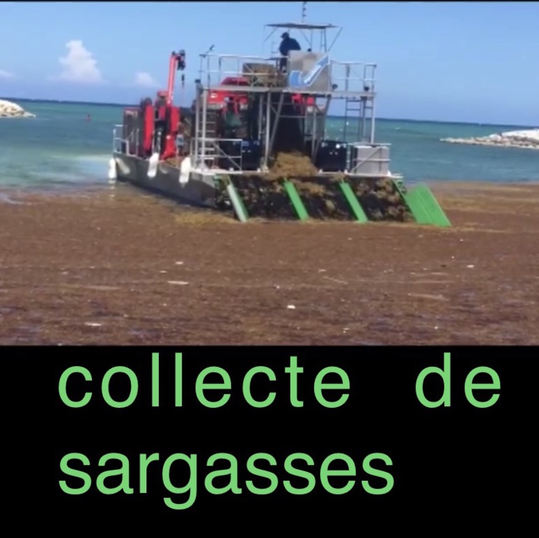 Des dispositifs techniques de collecte et de prévention des échouages ont été mis en place. Capture d’écran, Facebook. Des dispositifs techniques de collecte et de prévention des échouages ont été mis en place. Capture d’écran, Facebook.