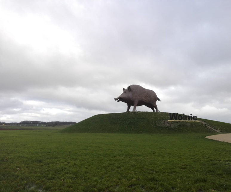 Woinic, célèbre sanglier des Ardennes réalisé par le sculpteur Eric Sleziak mesure 8,5m de haut et 14m de long. Il incarne l'animal symbole de la région / (c) E.V.