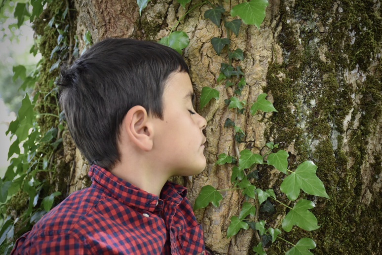 Découvrir un arbre par les sens. Photo © A.Gléonec Découvrir un arbre par les sens. Photo © A.Gléonec