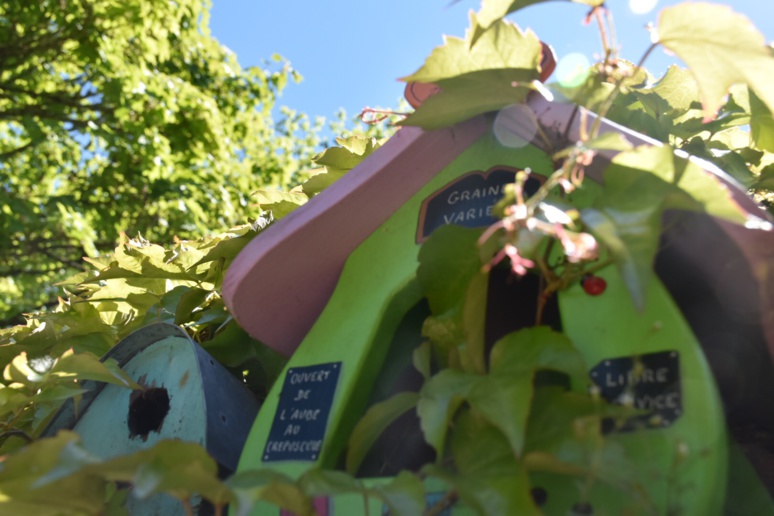 Nichoirs à oiseaux.Photo © A.Gléonec Nichoirs à oiseaux.Photo © A.Gléonec