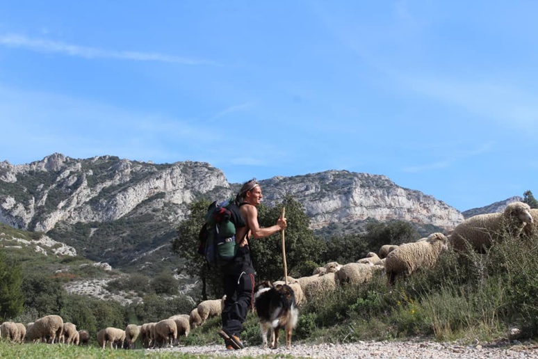 Patrice Ponza est aujourd'hui berger transhumant dans les Alpilles - (c) Patrice Ponza