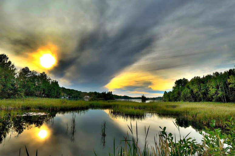 La biodiversité est en péril. Si rien n'est fait le pire est à venir. (c) Pixabay La biodiversité est en péril. Si rien n'est fait le pire est à venir. (c) Pixabay