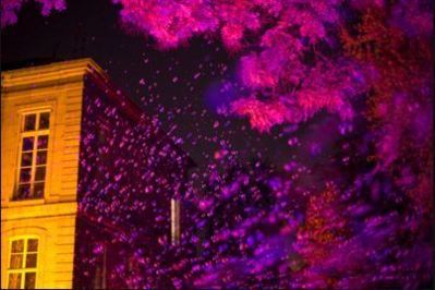 Cliquez sur l'image pour accéder au site