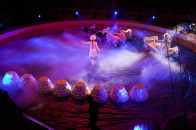 Cliquez sur l'image pour visiter le site du cirque