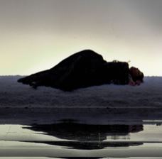 Cliquez ici pour accéder au site de l'Opéra