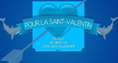 Cliquez ici pour accéder directement sur cette page Cliquez ici pour accéder directement sur cette page