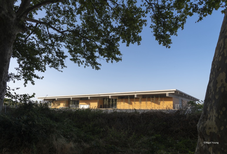 Renaissance de la Narbonne antique Renaissance de la Narbonne antique