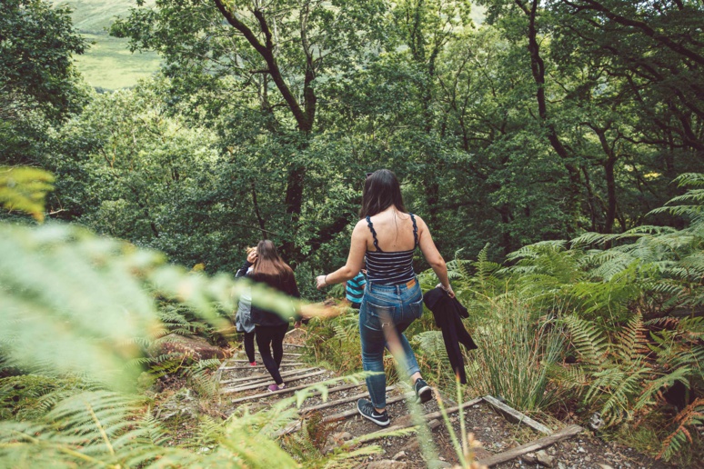 Lors des promenades en forêt, mieux vaut porter des vêtements couvrants de couleur claire, pour mieux repérer les tiques. Steffan Mitchell / Unsplash