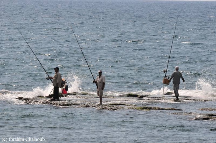 L’IMAGE DU JOUR – Attente de pêcheurs