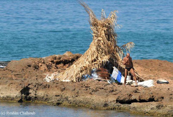 Seul sur son île! Photo (C) Ibrahim Chalhoub