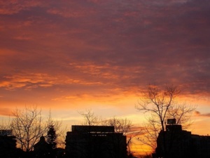 Photo (c) Adriana Radu Photo (c) Adriana Radu