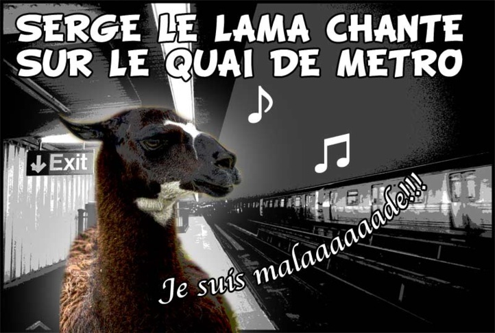 (c) D.P. / Photos originales (c) Adnan Islam et Bala Sivakumar