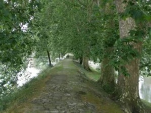 Cliquez ici pour trouver ce qui vous intéresse sur le sujet Cliquez ici pour trouver ce qui vous intéresse sur le sujet