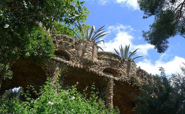 Photo (c) Amaury van Hoorebeke