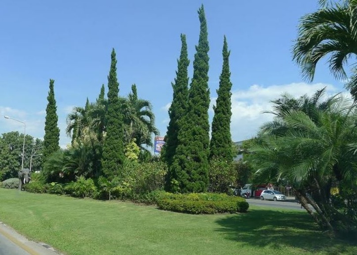 Photo (c) Amaury van Hoorebeke