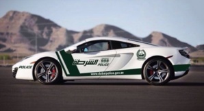 Photo (c) Dubai Police Photo (c) Dubai Police