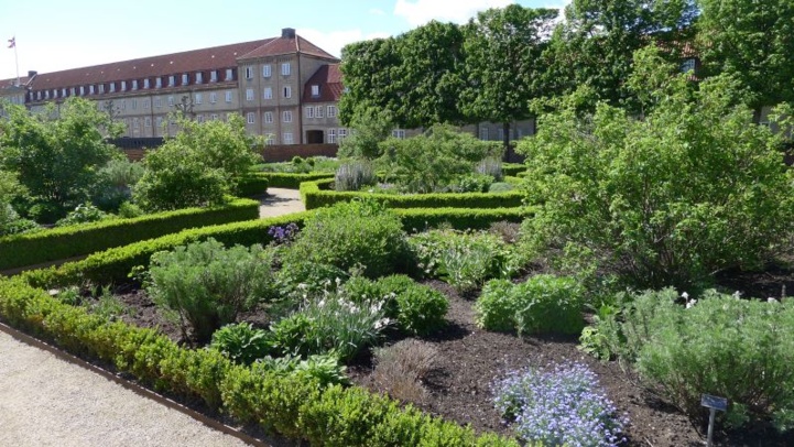 Photo (c) Amaury van Hoorebeke