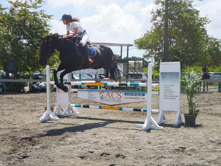 Plus grande compétition équestre annuelle de Concours de Saut d'obstacle (CSO). (C) hippocampe. Plus grande compétition équestre annuelle de Concours de Saut d'obstacle (CSO). (C) hippocampe.