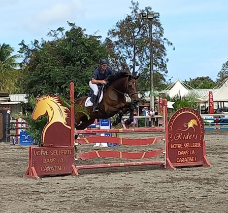 Les couples, constitués d'un cavalier et de sa monture, se mesurent sous les couleurs locales. (C) hippocampe. Les couples, constitués d'un cavalier et de sa monture, se mesurent sous les couleurs locales. (C) hippocampe.