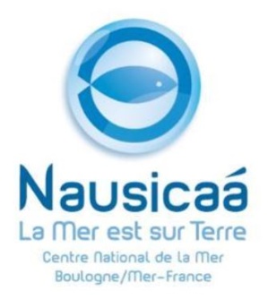 Une application pour reconnaître les poissons Une application pour reconnaître les poissons