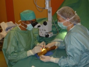 Label européen FESUM pour le pôle Urgences Main de la Polyclinique Saint-François à Nice