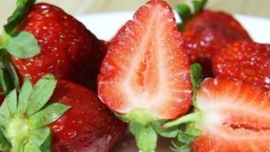 La fraise est en haut de la liste des aliments élixirs de jeunesse. Photo (c) Musthaq Nazeer