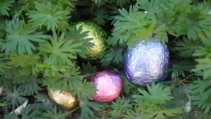 Oeufs de Pâques (c) Virginie Dubreuil Oeufs de Pâques (c) Virginie Dubreuil